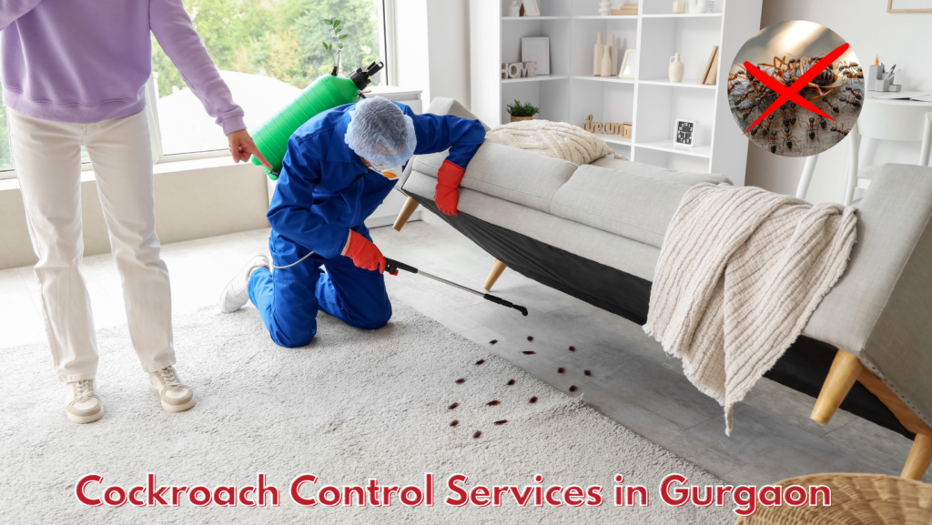 Cockroach Control Services in Gurgaon