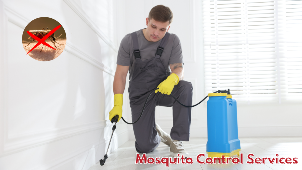 Mosquito Control Services in Gurgaon