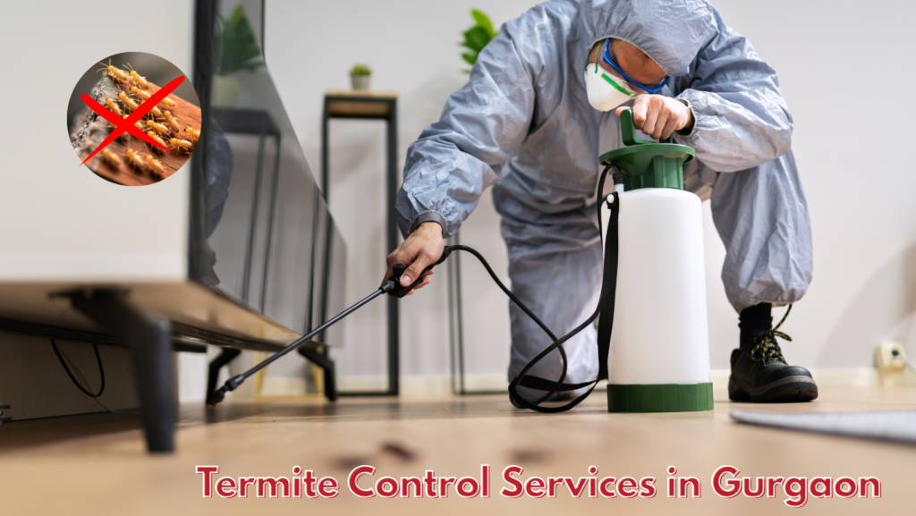 Termite Control Services in Gurgaon