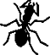 ant