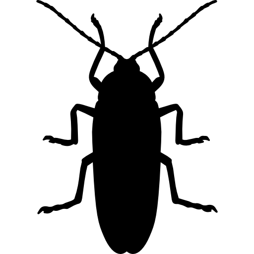 cockroach-silhouette